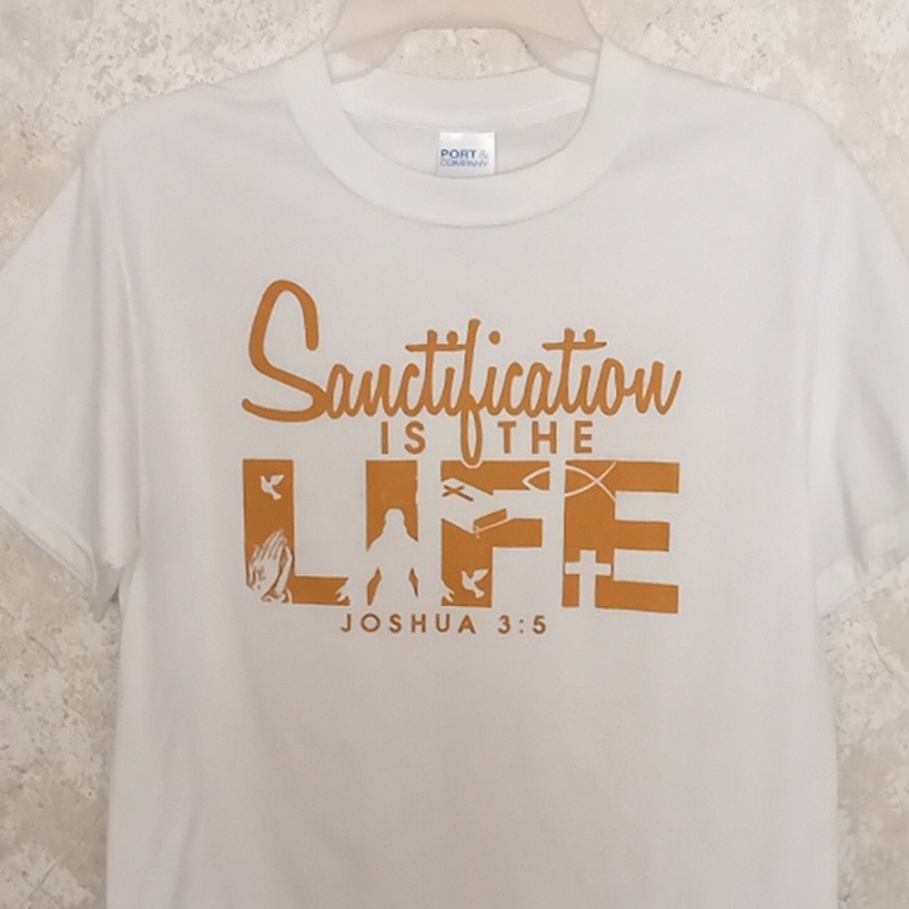 Religious Graphic Tee shirt , pre loved, size Small